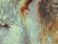 fish0085