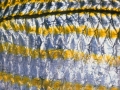 fish0089