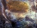 fish0151