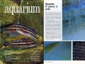 01-acquarium_rivista
